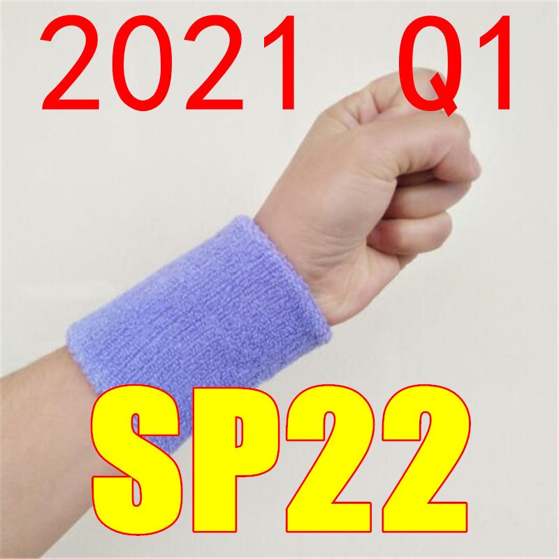 ֽ 2021 Q1 SP22 ο Ÿ SP 22 ո Ʈ,       ո ȣ